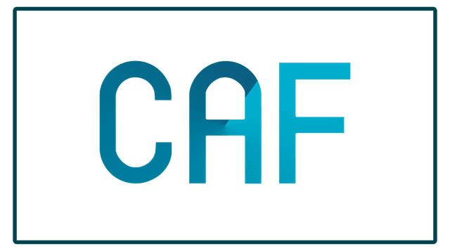 Cyber Assessment Framework (CAF) Logo